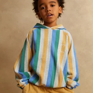 Sweatshirt hoody stripes Grey melee 2